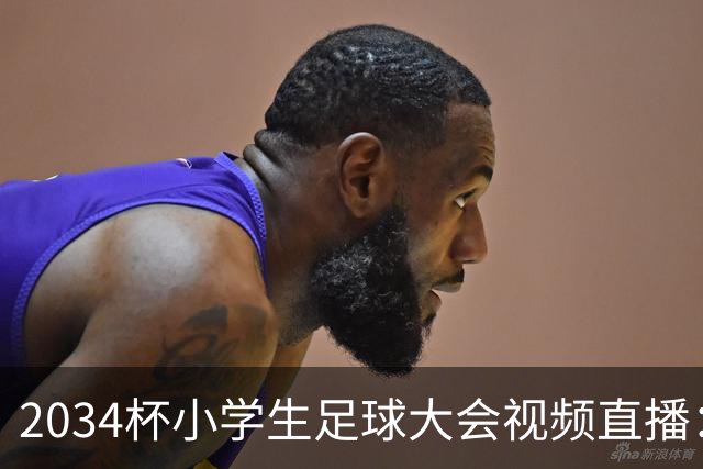 2034杯小学生足球大会视频直播：董路中国足球小将蓝队VS西藏攀峰足球俱乐部！！